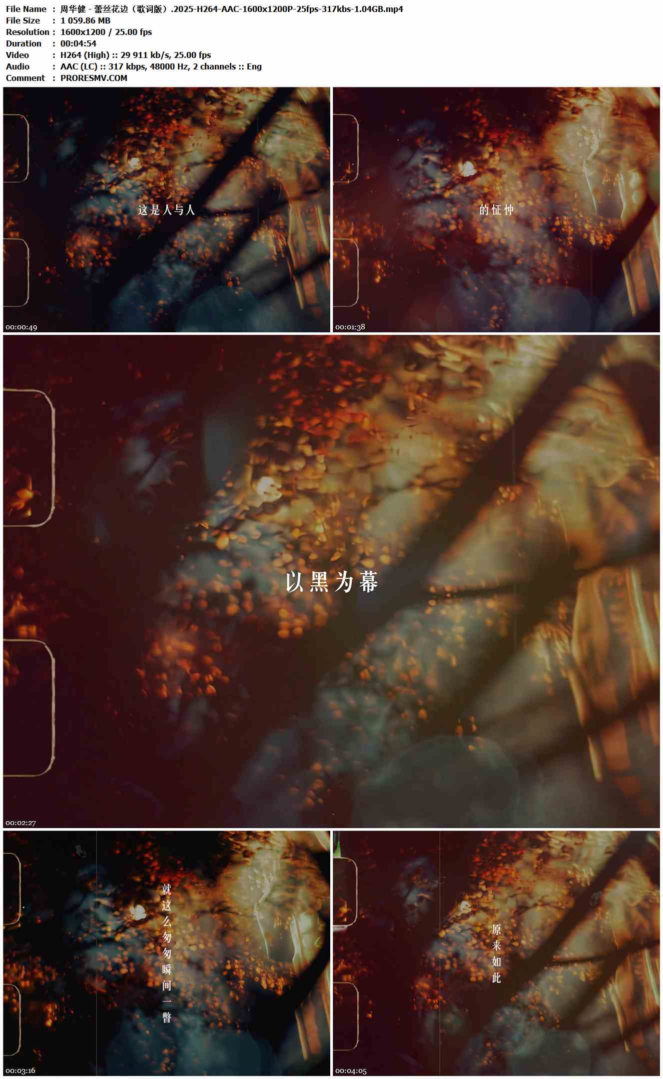 周华健 - 蕾丝花边（歌词版）.2025-H264-AAC-1600x1200P-25fps-317kbs-1.04GB官方MV_高清MV